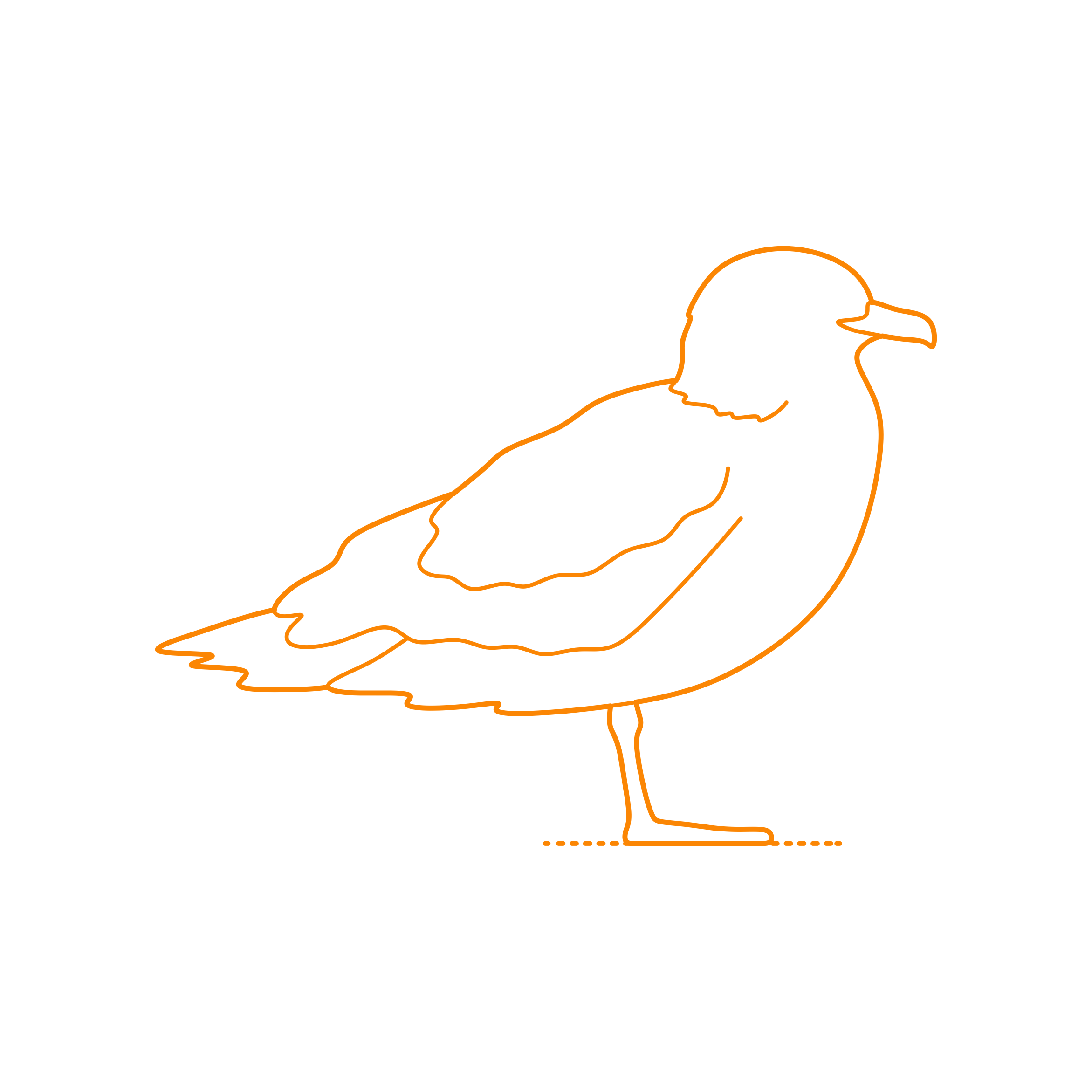 Animals Seabirds Great Skua Sticker Outline Svg File Free Vectors